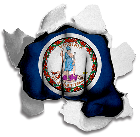 Fist Virginia State Flag Logo iron on paper